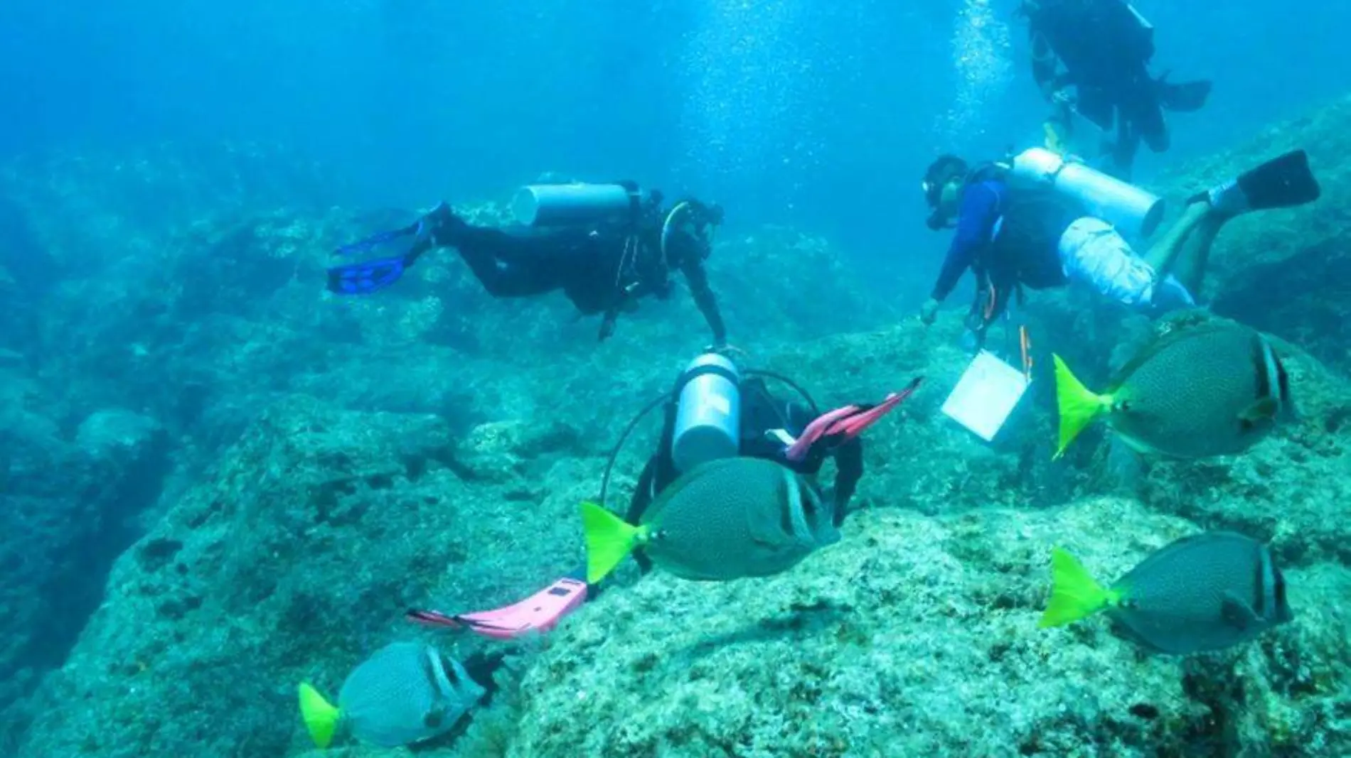 Limpieza submarina en loreto